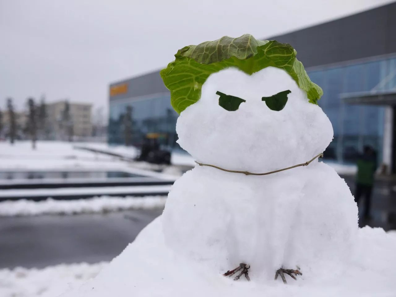 凯时|AG(Asia Gaming)优质运营商